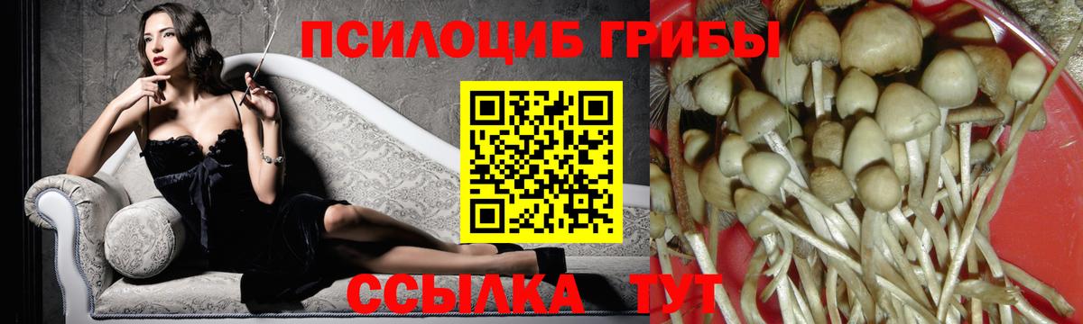 Псилоцибиновые грибы Psilocybine cubensis  Вход с VPN  Новоуральск 